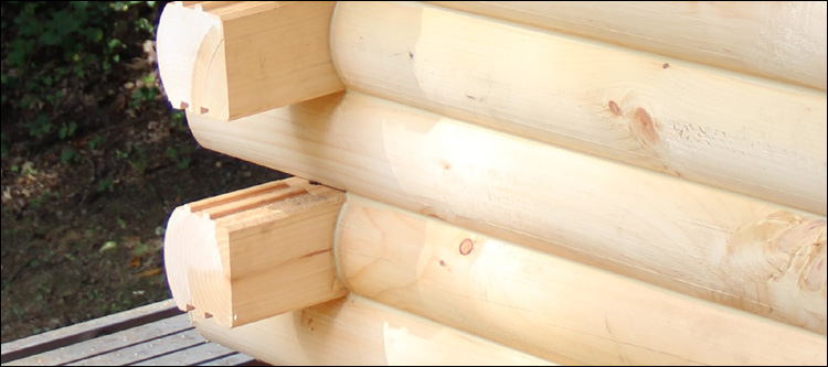 Log Home Damage Repair  Overpeck, Ohio