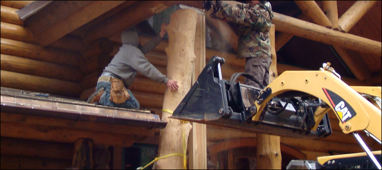 Log Home Log Replacement  Overpeck, Ohio